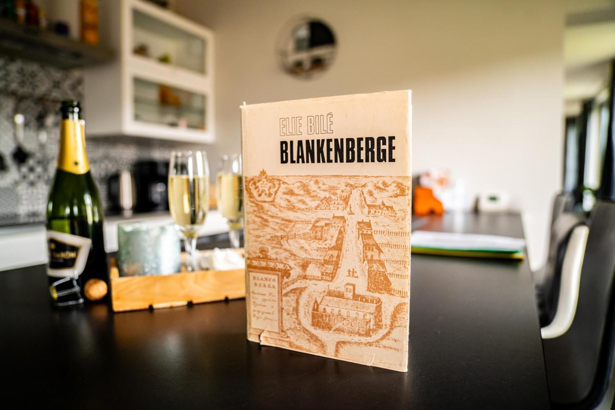 Oase 'T Huyseke Βίλα Blankenberge Εξωτερικό φωτογραφία